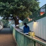 A woman seen from behind walking along a pedestrian ramp in Hong Kong at dusk, carrying a yellow bag, with a large banyan tree and green railings framing the path ahead.
