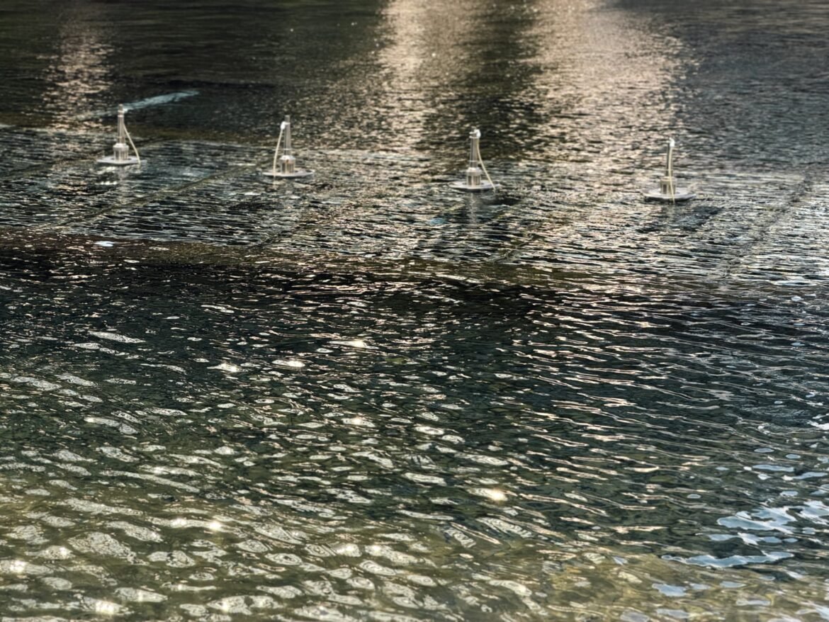 Four small white floating fountain aerators sit in a row on dark, rippled water, with bright sunlight reflecting off the surface in shimmering horizontal bands.